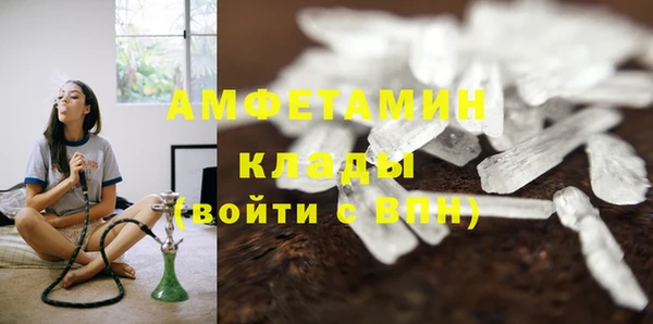 стаф Богданович