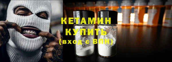 стаф Богданович