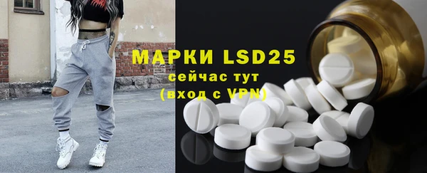 стаф Богданович