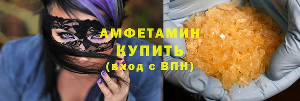 стаф Богданович