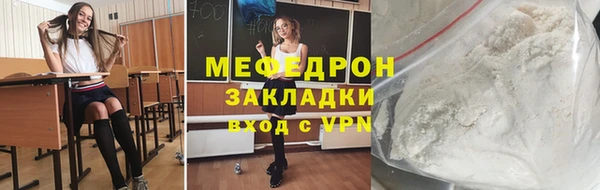 стаф Богданович