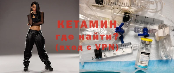 стаф Богданович