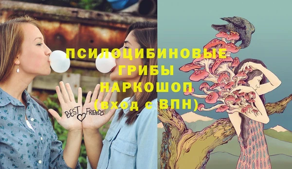 соль курить ск Богородск