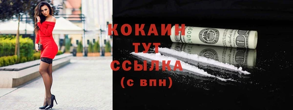стаф Богданович