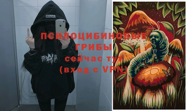 соль курить ск Богородск