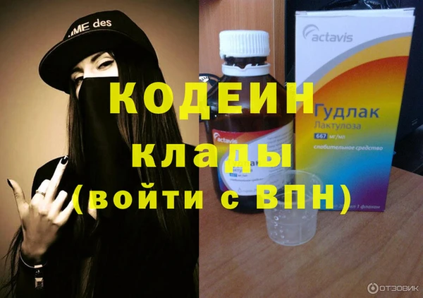 стаф Богданович