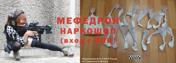 стаф Богданович