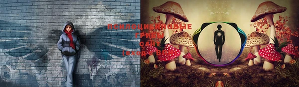 каннабис Богородицк