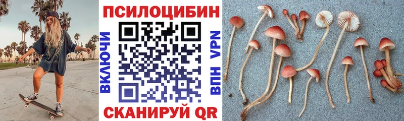 Купить закладки  Андреаполь  Галлюциногенные грибы GOLDEN TEACHER 